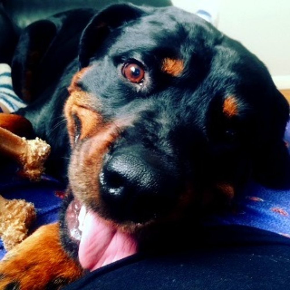 Meet your Posher, Cindi